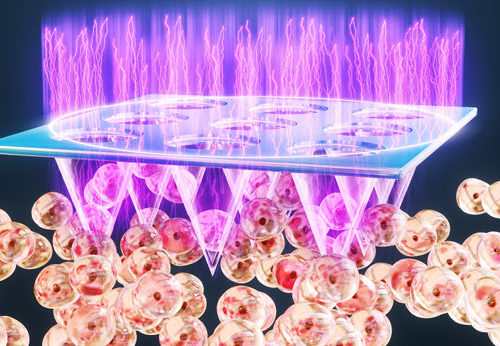 Cold plasma patch could make immunotherapy more effective for treating melanoma Share