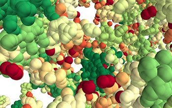 Chromatin organizes into 3D ‘forests’ in single cells