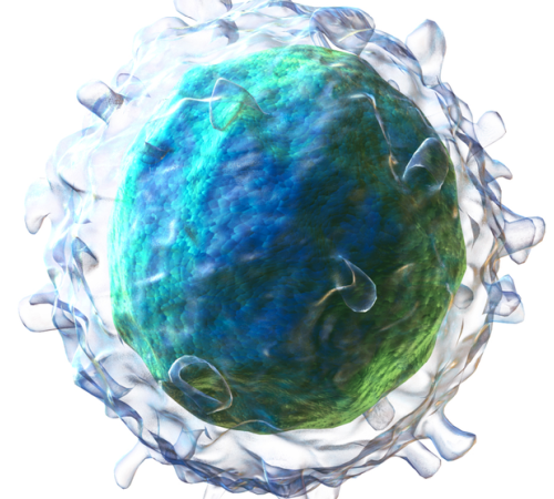 Researchers Identify Cancer Cell Defect Driving Resistance to CAR T Cell Therapy