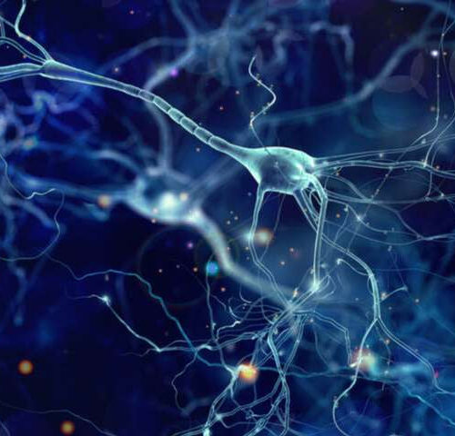 Artificial nerve cells could cure chronic diseases