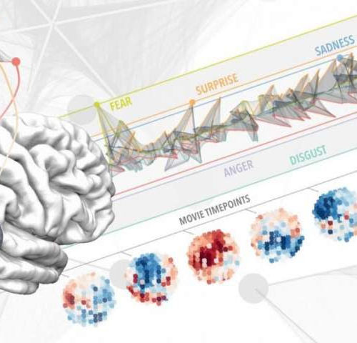 Emotions come from a 3-centimeter area of the brain