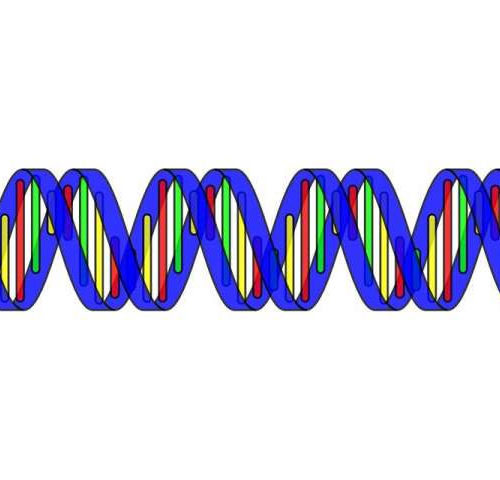 Study provides new understanding of mitochondria genome, potential for new avenues of treatment for cancers