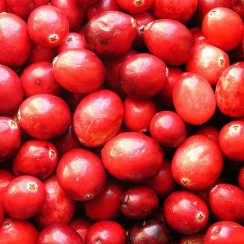 How cranberry juice can prevent UTIs