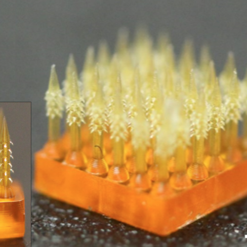 Bioinspired microneedle patch has more sticking power