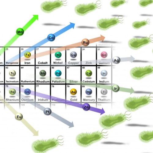 Metals could be the link to new antibiotics