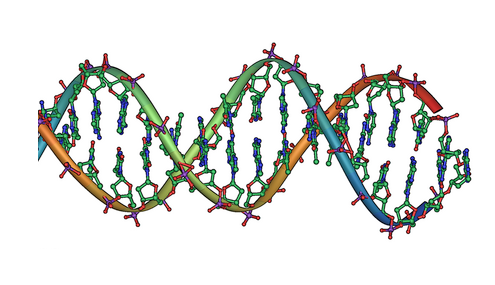 Experts discover toolkit to repair DNA breaks linked to aging, cancer and MND