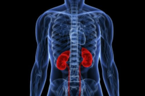 UK-wide trial testing whether ‘less medicine’ may be just as effective for some patients with advanced chronic kidney disease