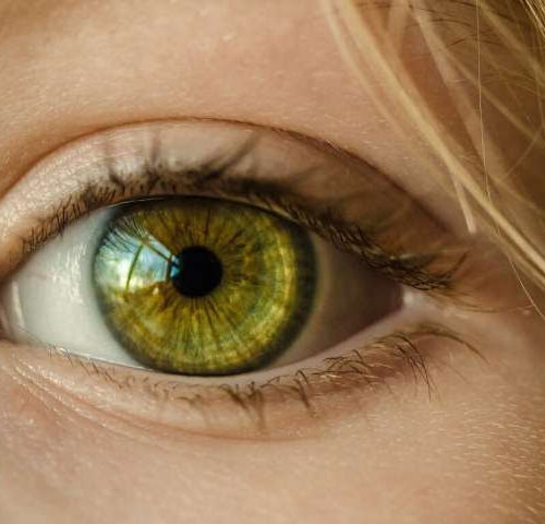 Immunological regulatory circuit may play central role in ocular diseases