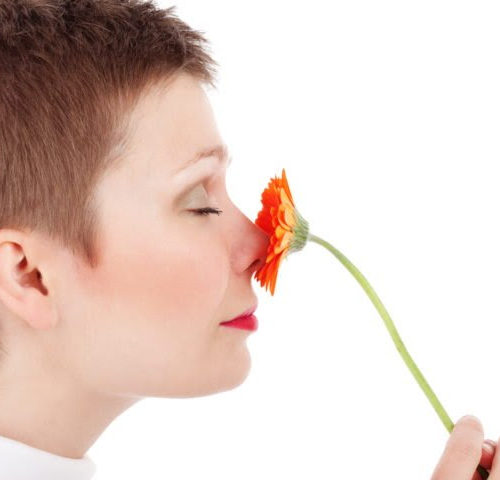 AI Finds Genes Related to the Sense of Smell Play a Role in Development of Cancer