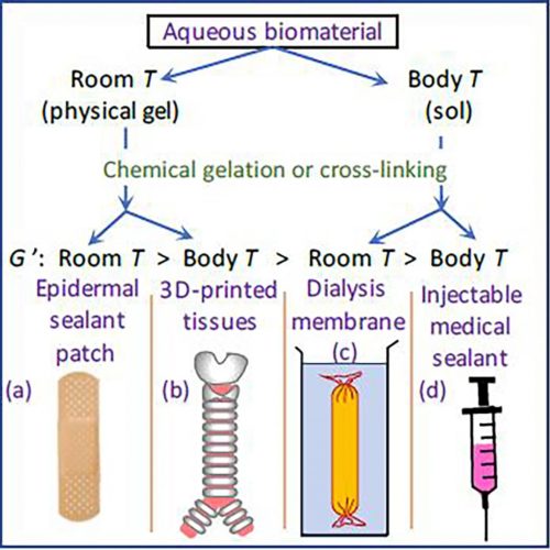 Adjusting processing temperature results in better hydrogels for biomedical applications