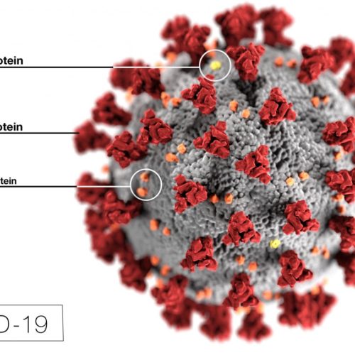 ACE inhibitors and angiotensin receptor blockers may increase the risk of severe COVID-19