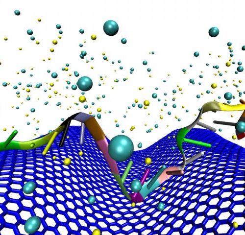 Crumpled graphene makes ultra-sensitive cancer DNA detector