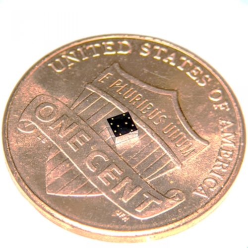 Lung-heart super sensor on a chip tinier than a ladybug