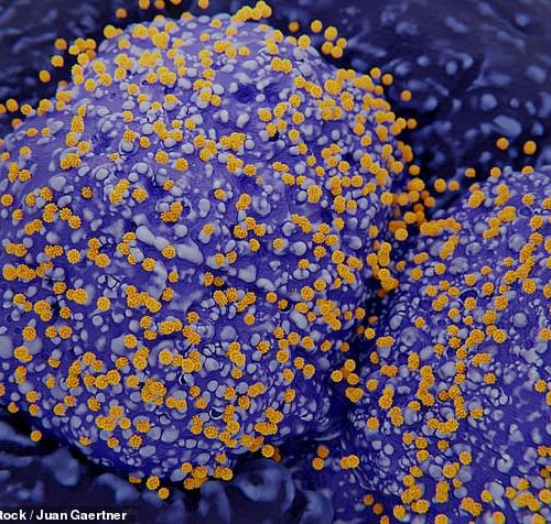 Scientists identify the cells in human lungs, noses and intestines that are most vulnerable to the coronavirus