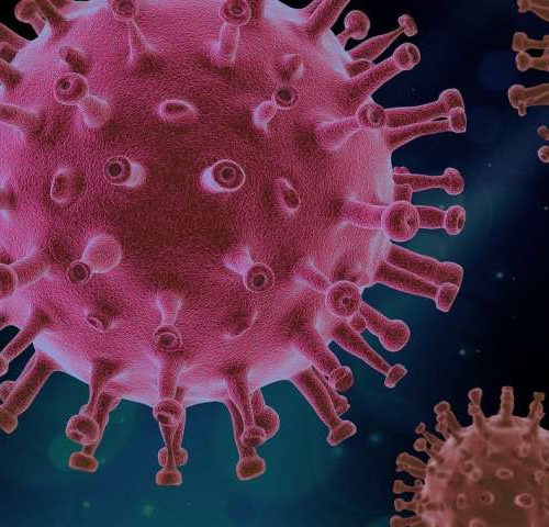 Slower clearance of coronavirus infection may explain why men fare worse than women