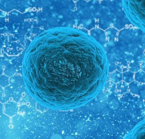 Old human cells rejuvenated with stem cell technology, research finds