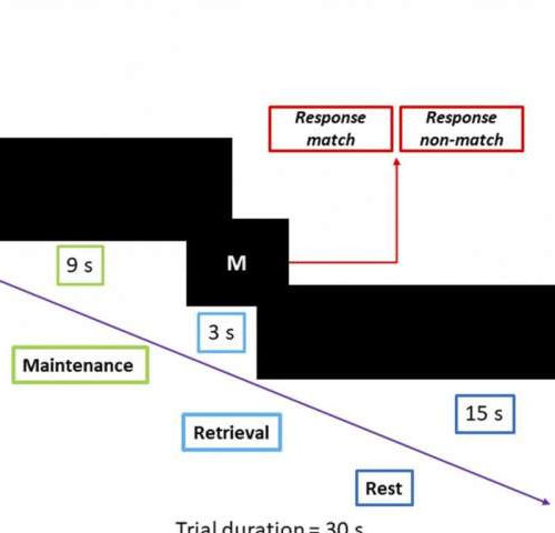 Efficiency of non-invasive brain stimulation for memory improvement: Embracing the challenge