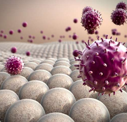 CAR macrophages go beyond T cells to fight solid tumors