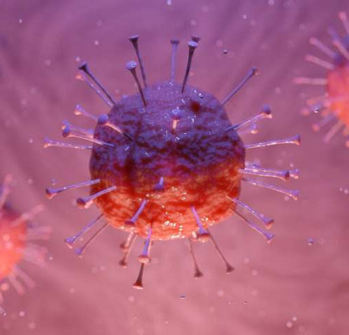 COVID-19 patients often infected with other respiratory viruses, preliminary study reports