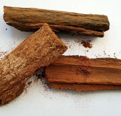 Chinchona bark is not a ‘cure’ for COVID-19 and it could seriously harm those who take it