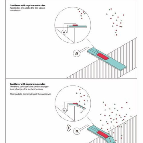 Digital Diagnostics AG: New 5 Minute Coronavirus Test Delivers Clear Results on Infection