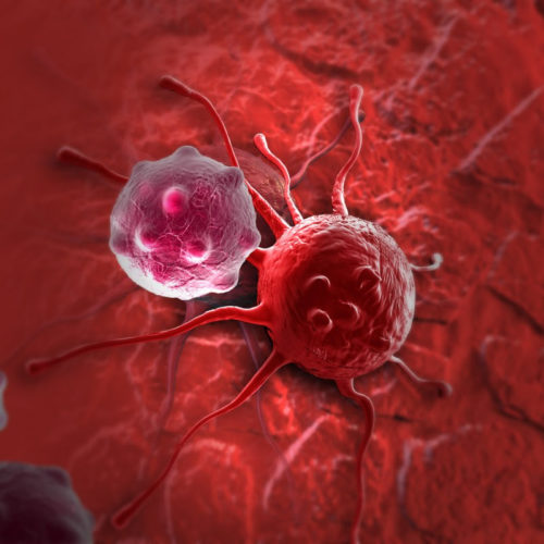 Cancer treatment inflames cold tumors for heat-seeking immune cells