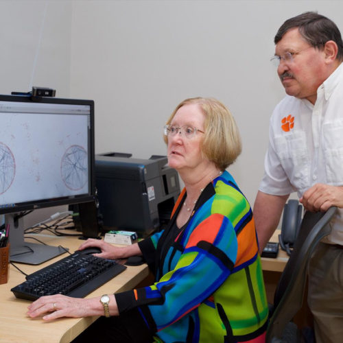 Clemson geneticists zeroing in on genes affecting life span