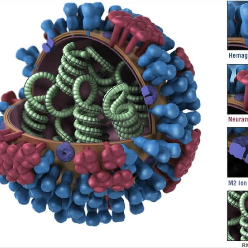 Missing COVID-19 antibodies suggest mystery immune response