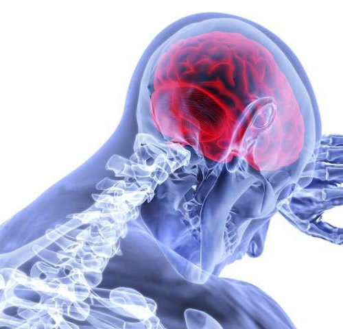 Chilling concussed cells shows promise for full recovery