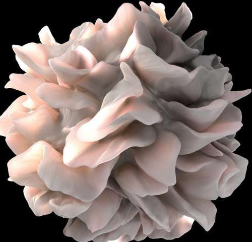 Researchers discover potential boost to immunotherapy