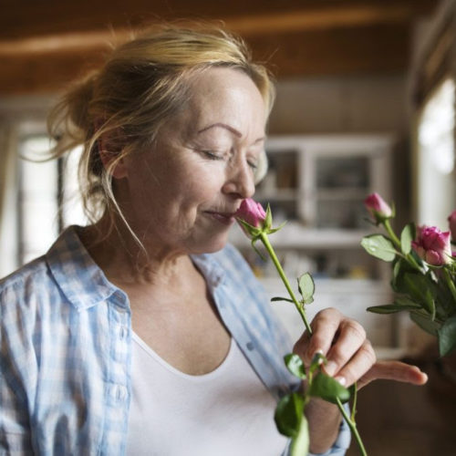 Smell changes memory processing and could treat trauma
