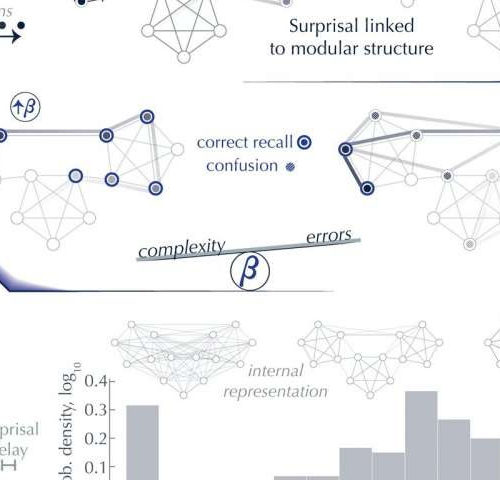 Researchers develop a new model for how the brain processes complex information