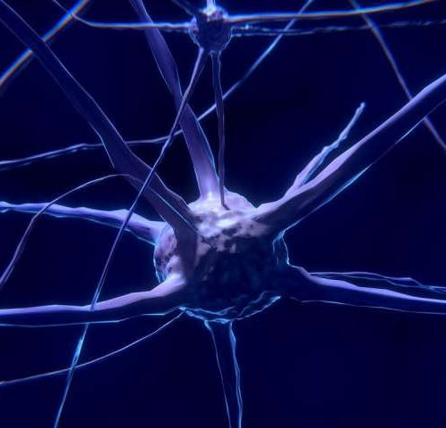 Brain disease treatment shows promising signs
