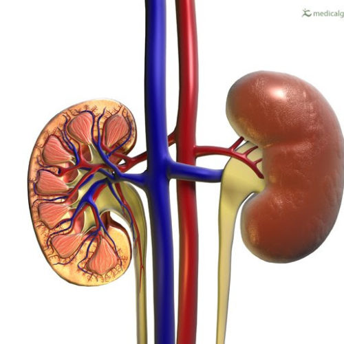 Certain diabetes drugs may protect against serious kidney problems