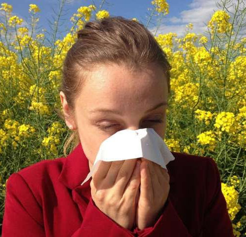 Nasal biomarkers predict severity of pollen-specific allergy symptoms