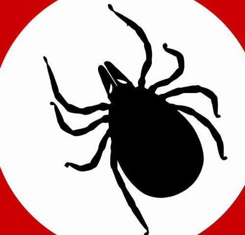 How the Lyme disease epidemic is spreading and why ticks are so hard to stop
