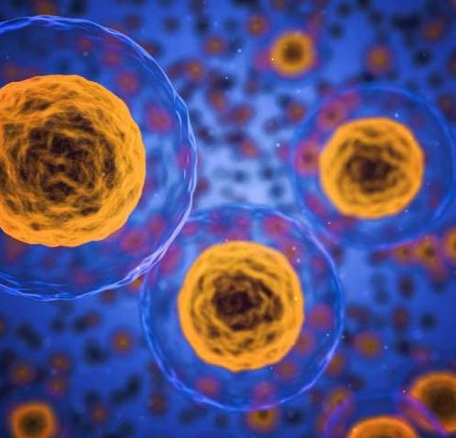 Newly discovered cell type plays a crucial role in the immune response to respiratory infections