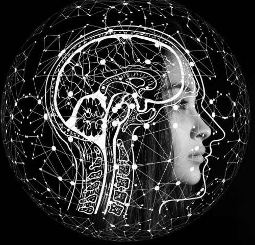 Brain’s ‘updating mechanisms’ may create false memories