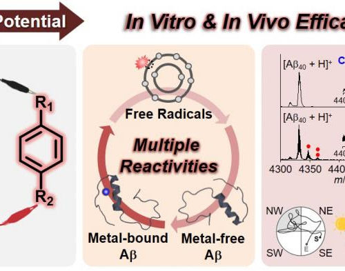 Simple molecular reagents to treat Alzheimer’s disease