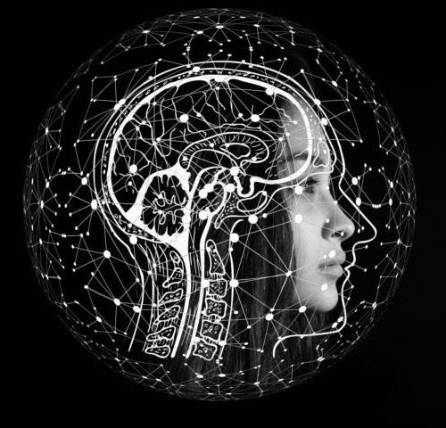 Brain study contributes to increased understanding of endocrine diseases