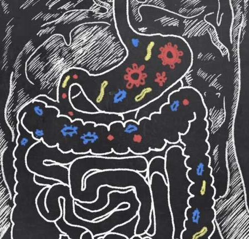 How you might benefit from probiotics