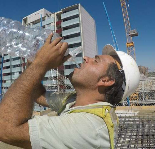 Working in the sun—heating of the head may markedly affect safety and performance