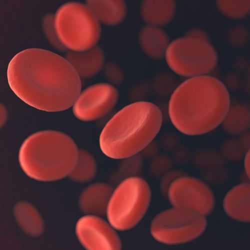 New synthetic red blood cells are even better than the real thing