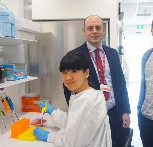 Immune cell discovery could improve the fight against hepatitis B