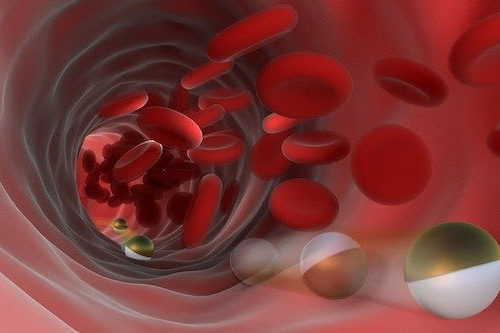 Microrobots Roll Along Blood Vessel Walls to Deliver Drugs