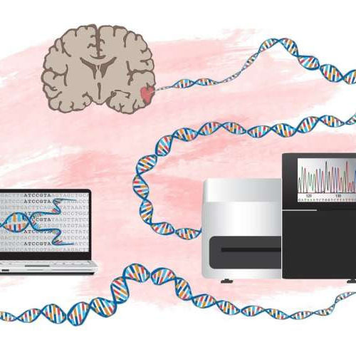 New method created for identifying genes behind brain tumors