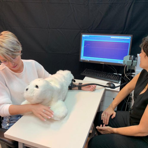 A furry social robot can reduce pain and increase happiness — Ben-Gurion University researchers