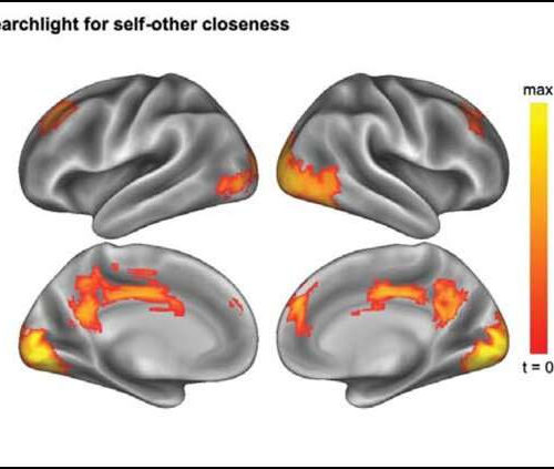 Your brain shows if you are lonely or not