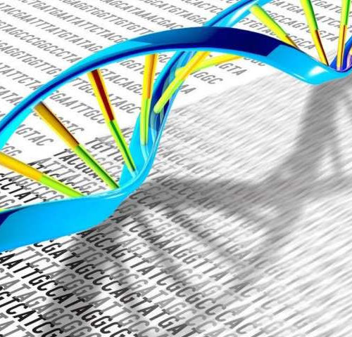 Genetic database provides rare disease clues and Parkinson’s hope