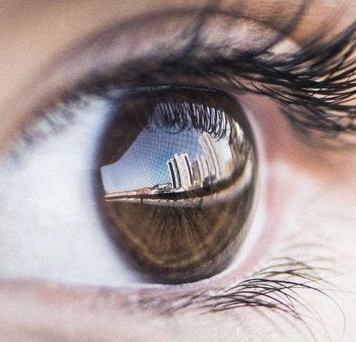 Vision scientists discover why humans literally don’t see eye to eye